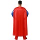 Déguisement Homme Superman
