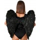 Grandes Ailes Plumes Noires d'Ange Adulte