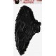 Grandes Ailes Plumes Noires d'Ange Adulte
