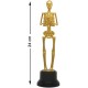 Trophée Squelette Halloween