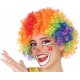 Perruque Clown Multicouleur