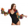 Boa Plumes Multicouleur 45g