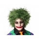 Perruque Verte Clown Méchant