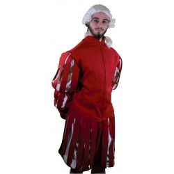 Costume Homme Prince Renaissance de Luxe