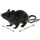 Rat Noir Halloween