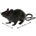 Rat Noir Plastique