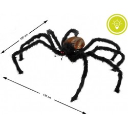 Araignée Noire Géante