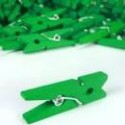 50 Mini Pinces à Linge Vert