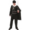 Déguisement Luxe Homme Zorro